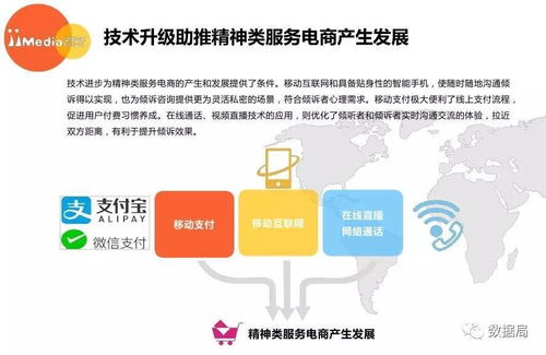 2017上半年中國精神類服務電商市場研究報告 教育咨詢服務的新機遇與挑戰(zhàn)